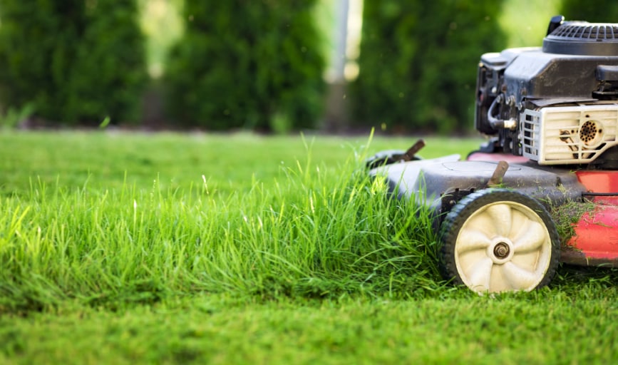 Golden Lawn Care 